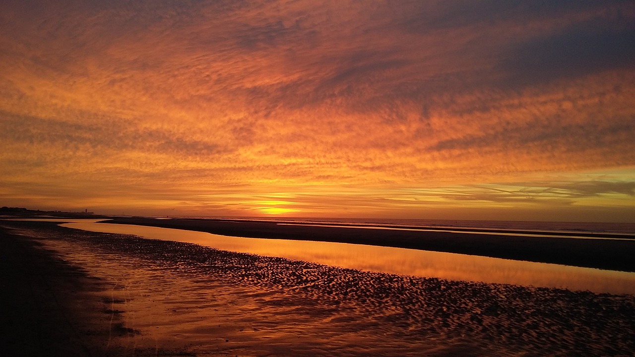 일상 생활을 지키는 할인 카드, 하나카드 원더카드 LIVING의 모든 것