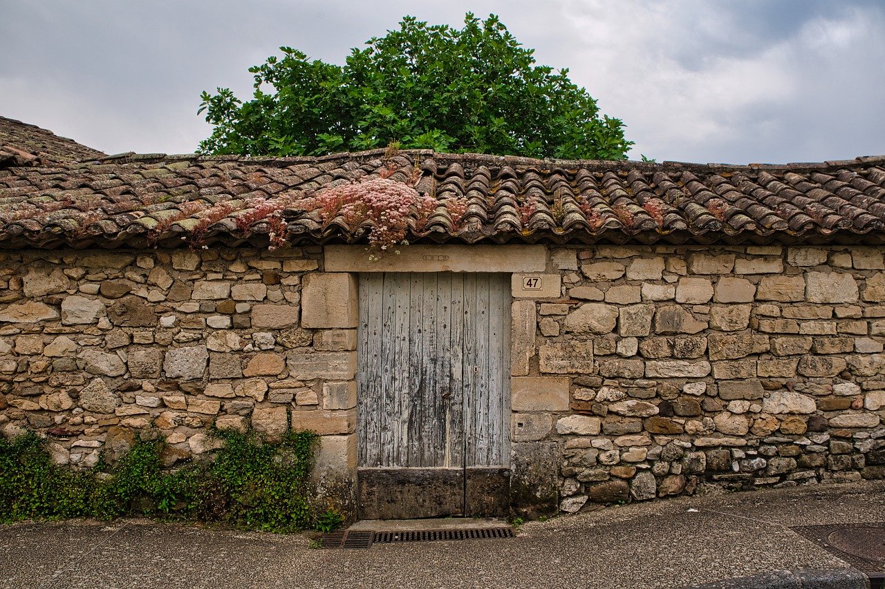 착한 실손 보험, 이제 언제 갈아타야 할까요?