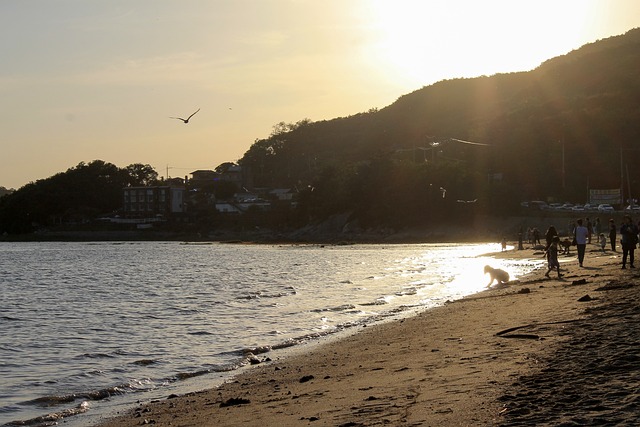 일본여행, 토스카드와 트래블로그카드의 선택이 여행을 좌우할 수 있나요?