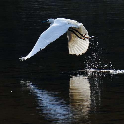 문화누리카드: 저소득층을 위한 문화생활의 다리 역할
