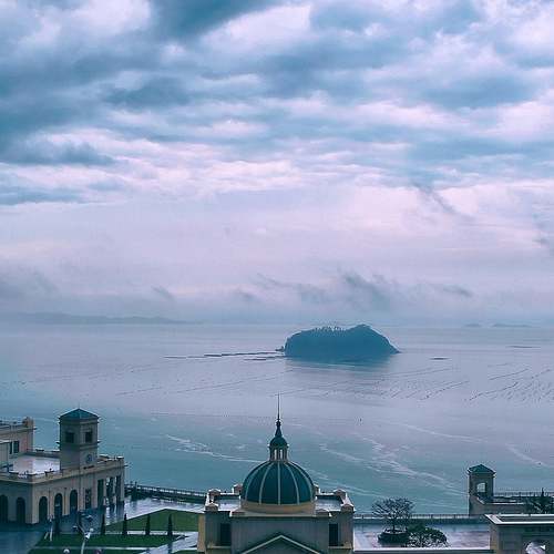 제주도에서 만나는 봄의 전령사, 휴애리 매화축제를 즐겨보세요!