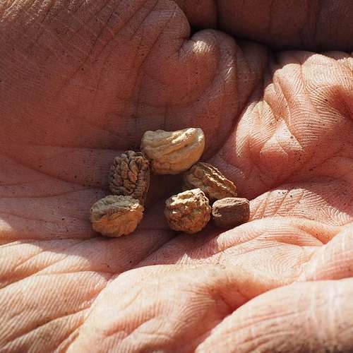 2025 보육료 신청 가이드: 연장, 장애아, 다문화와 방과 후 지원까지