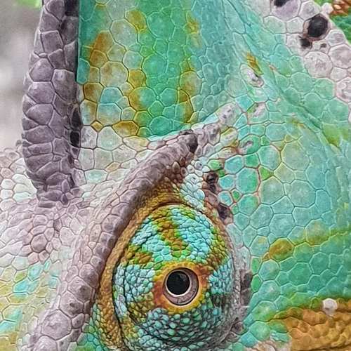 PDF에서 JPG로 변환하는 4가지 꿀팁! 사진파일 변환 쉽게 하기