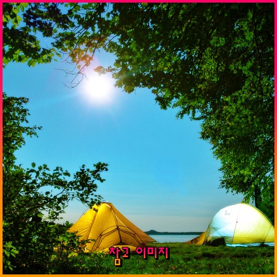 엑슨모빌 주식의 미래: 안정성, 배당금, 그리고 전망