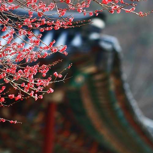 개인 사업자의 건강 보험 미납, 압류의 위험과 그에 대한 대처 방안