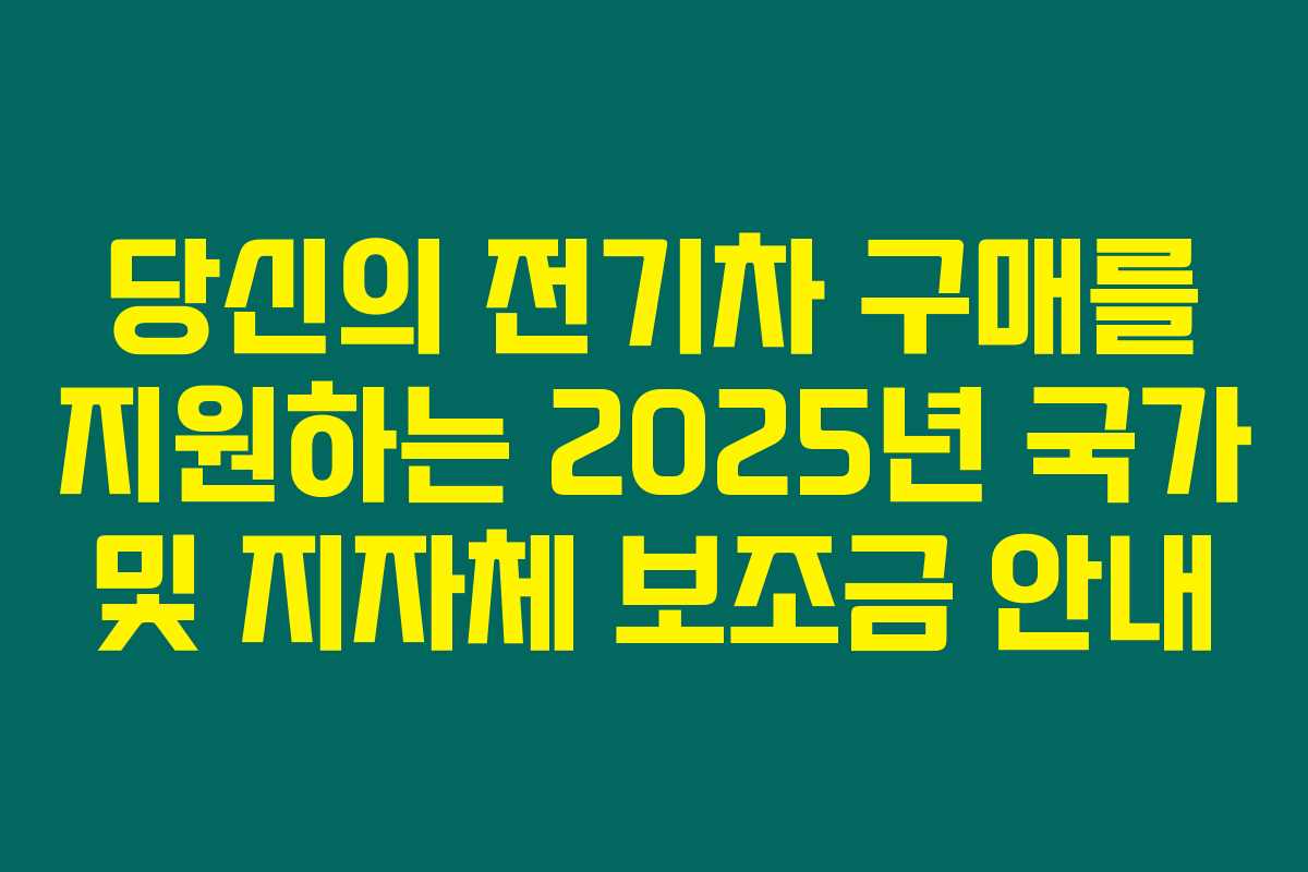 당신의 전기차 구매를 지원하는 2025년 국가 및 지자체 보조금 안내