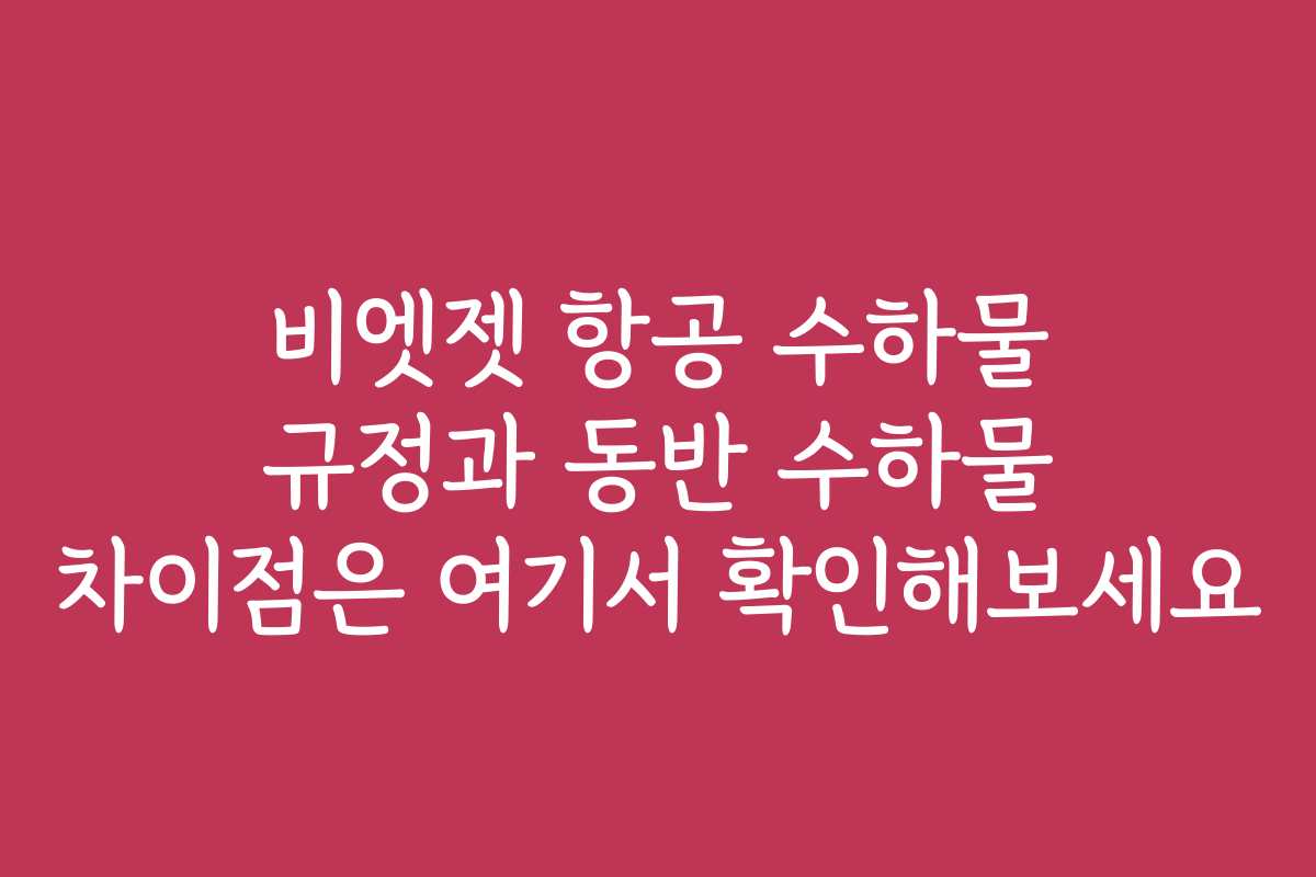 비엣젯 항공 수하물 규정과 동반 수하물 차이점은 여기서 확인해보세요