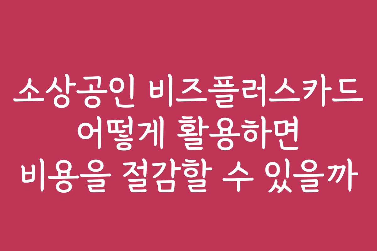 소상공인 비즈플러스카드 어떻게 활용하면 비용을 절감할 수 있을까