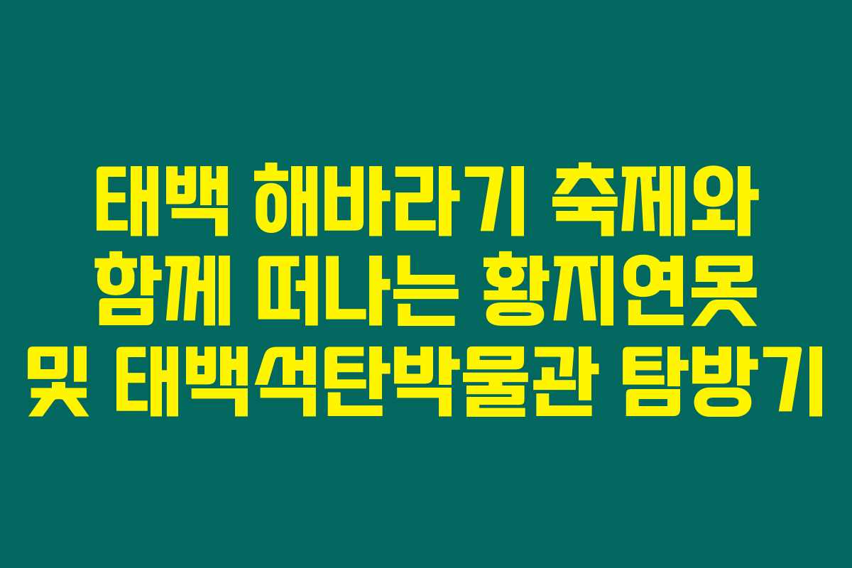태백 해바라기 축제와 함께 떠나는 황지연못 및 태백석탄박물관 탐방기