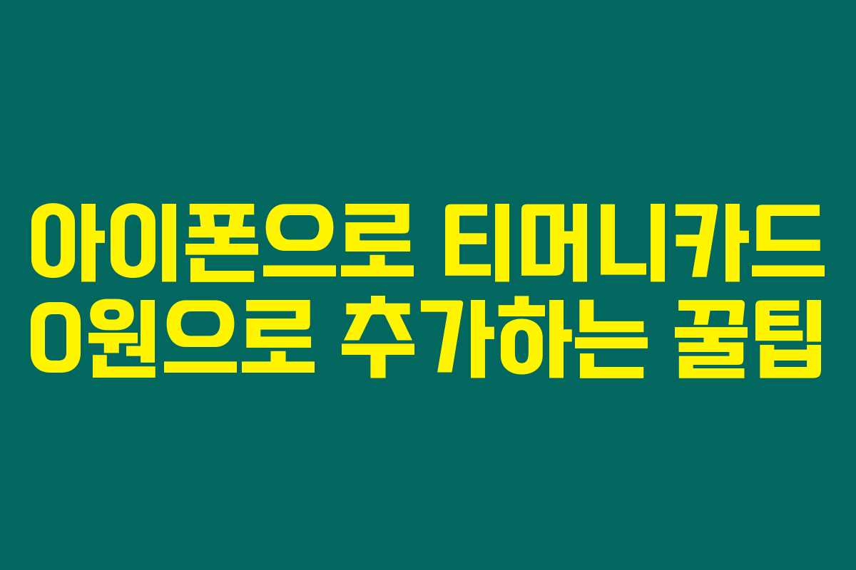 아이폰으로 티머니카드 0원으로 추가하는 꿀팁