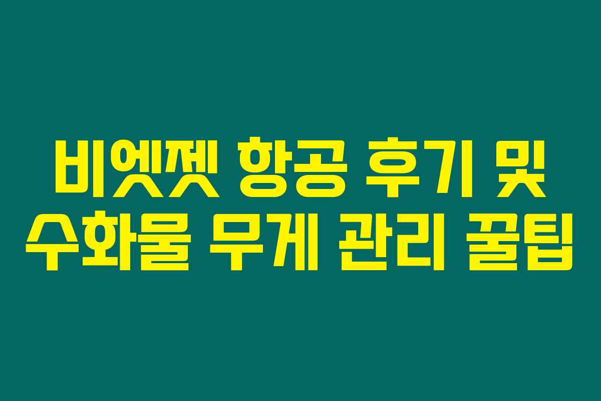 비엣젯 항공 후기 및 수화물 무게 관리 꿀팁