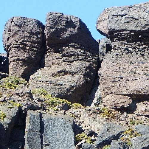 더위 먹었을 때 증상과 효과적인 치료법, 완화 방법을 알아보세요