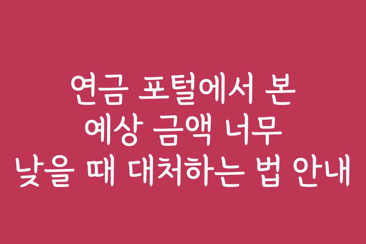 연금 포털에서 본 예상 금액 너무 낮을 때 대처하는 법 안내