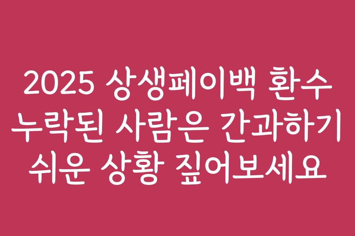 2025 상생페이백 환수 누락된 사람은 간과하기 쉬운 상황 짚어보세요