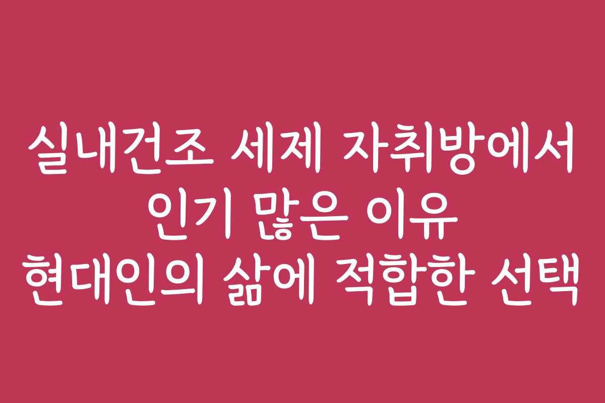 실내건조 세제 자취방에서 인기 많은 이유 현대인의 삶에 적합한 선택