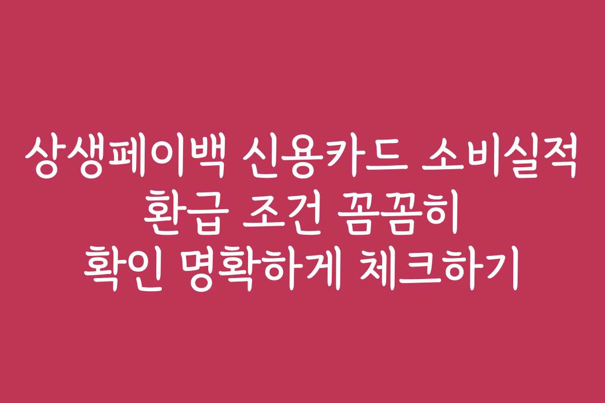 상생페이백 신용카드 소비실적 환급 조건 꼼꼼히 확인 명확하게 체크하기