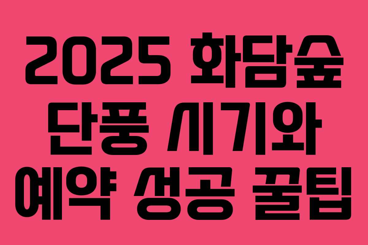 2025 화담숲 단풍 시기와 예약 성공 꿀팁