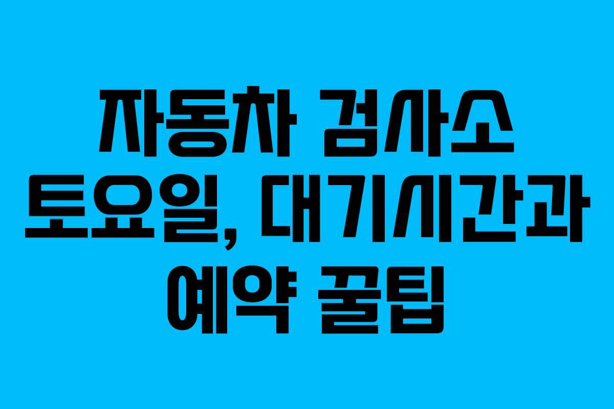 자동차 검사소 토요일, 대기시간과 예약 꿀팁