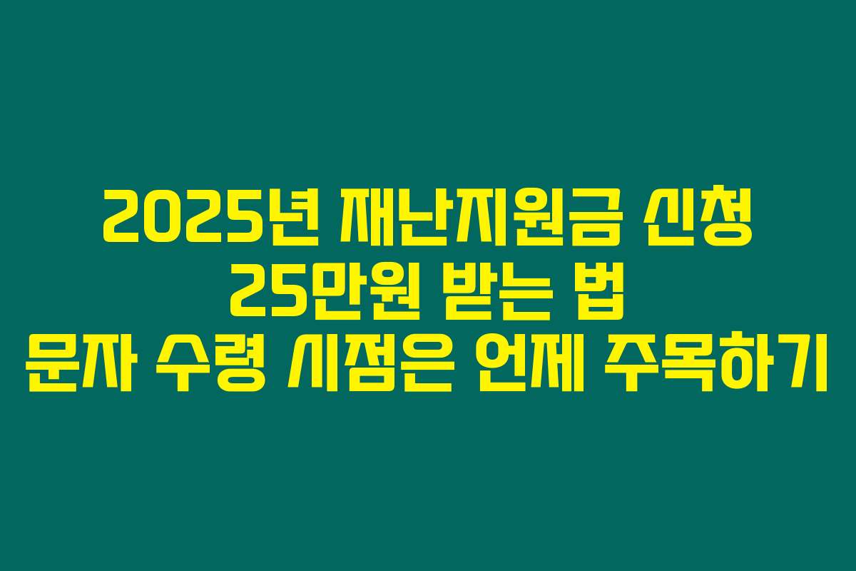 2025년 재난지원금 신청 25만원 받는 법 문자 수령 시점은 언제 주목하기