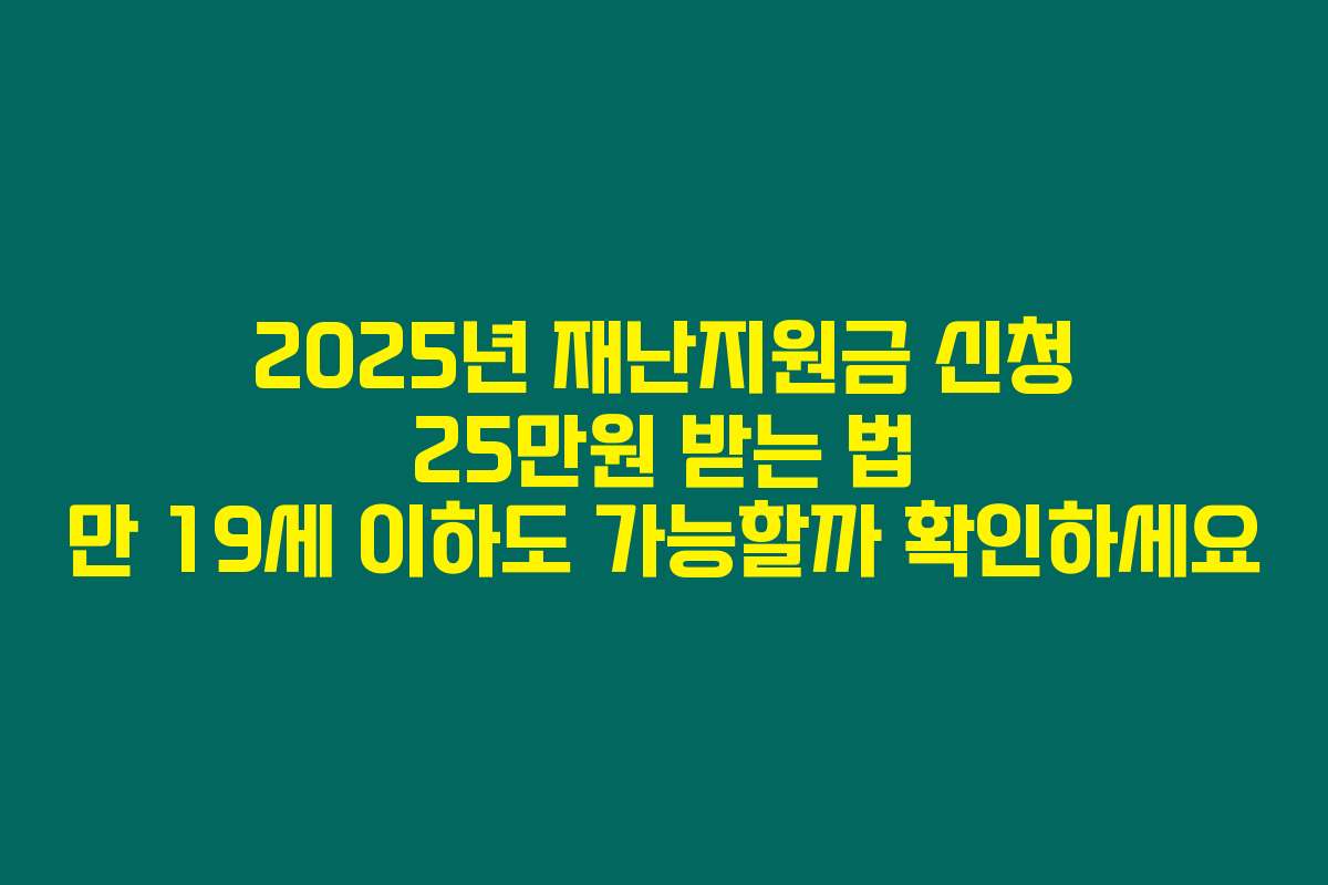 2025년 재난지원금 신청 25만원 받는 법 만 19세 이하도 가능할까 확인하세요