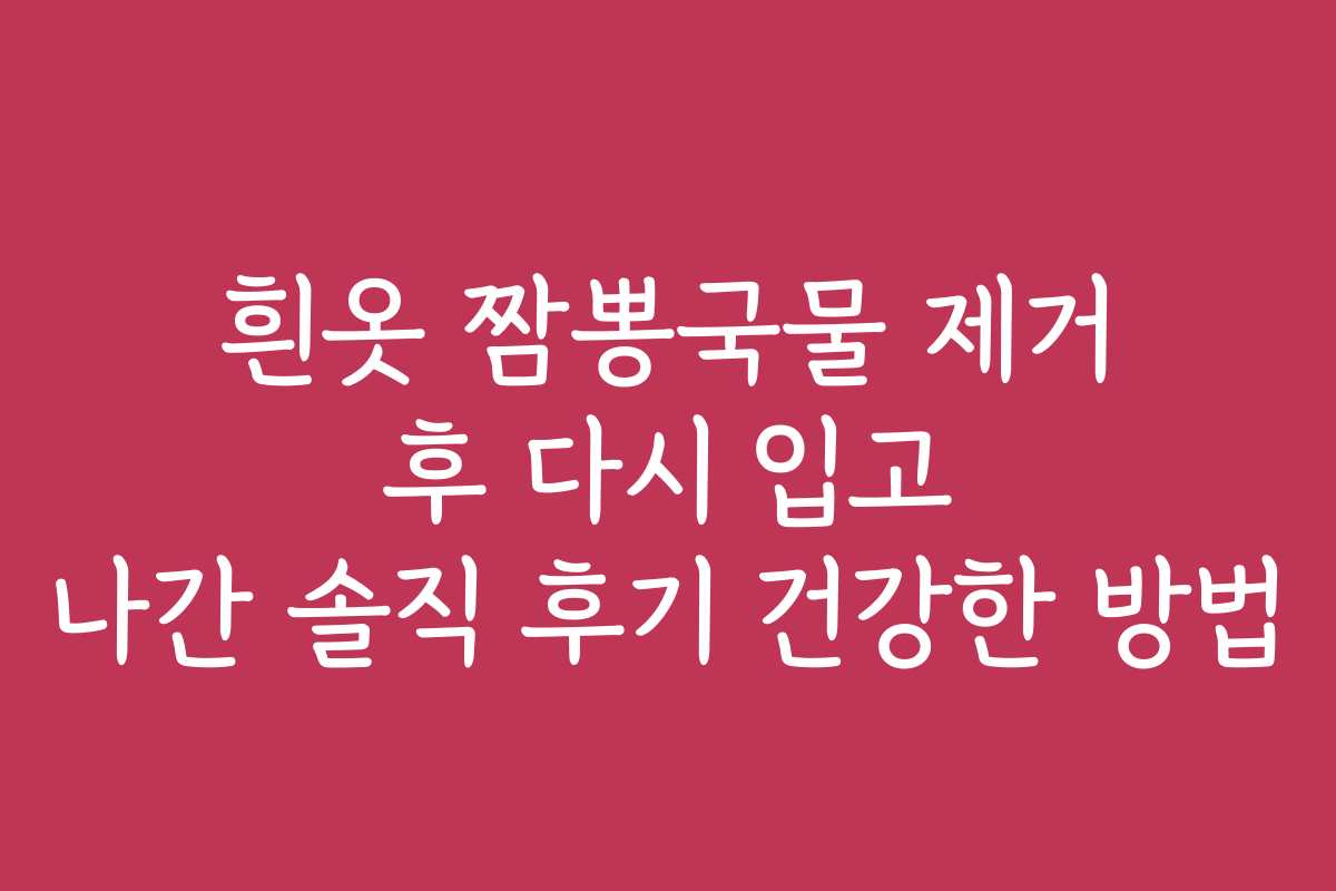 흰옷 짬뽕국물 제거 후 다시 입고 나간 솔직 후기 건강한 방법