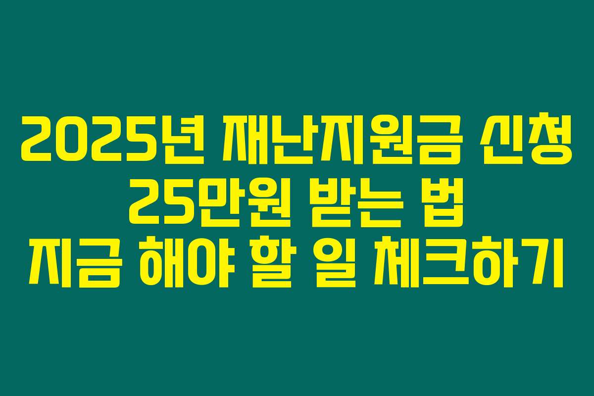 2025년 재난지원금 신청 25만원 받는 법 지금 해야 할 일 체크하기