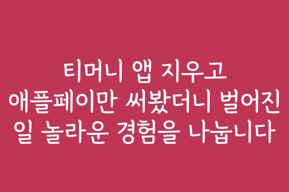 티머니 앱 지우고 애플페이만 써봤더니 벌어진 일 놀라운 경험을 나눕니다