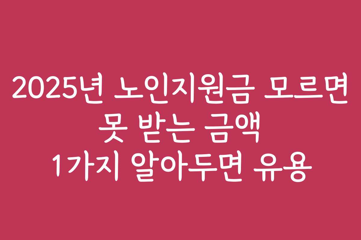 2025년 노인지원금 모르면 못 받는 금액 1가지 알아두면 유용