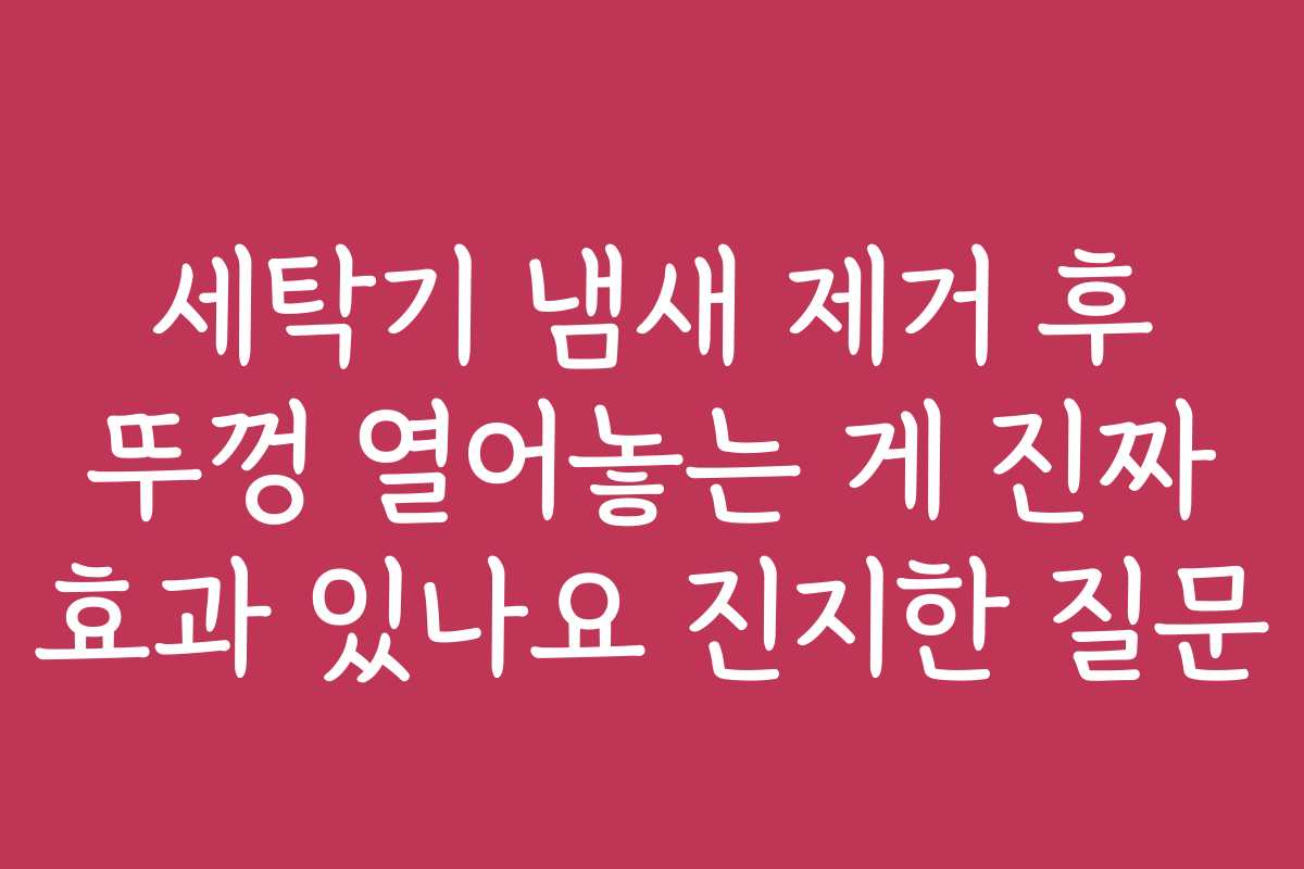 세탁기 냄새 제거 후 뚜껑 열어놓는 게 진짜 효과 있나요 진지한 질문