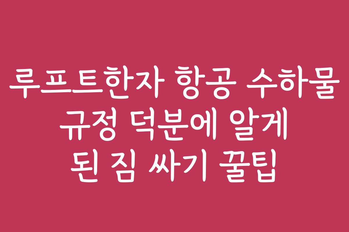 루프트한자 항공 수하물 규정 덕분에 알게 된 짐 싸기 꿀팁