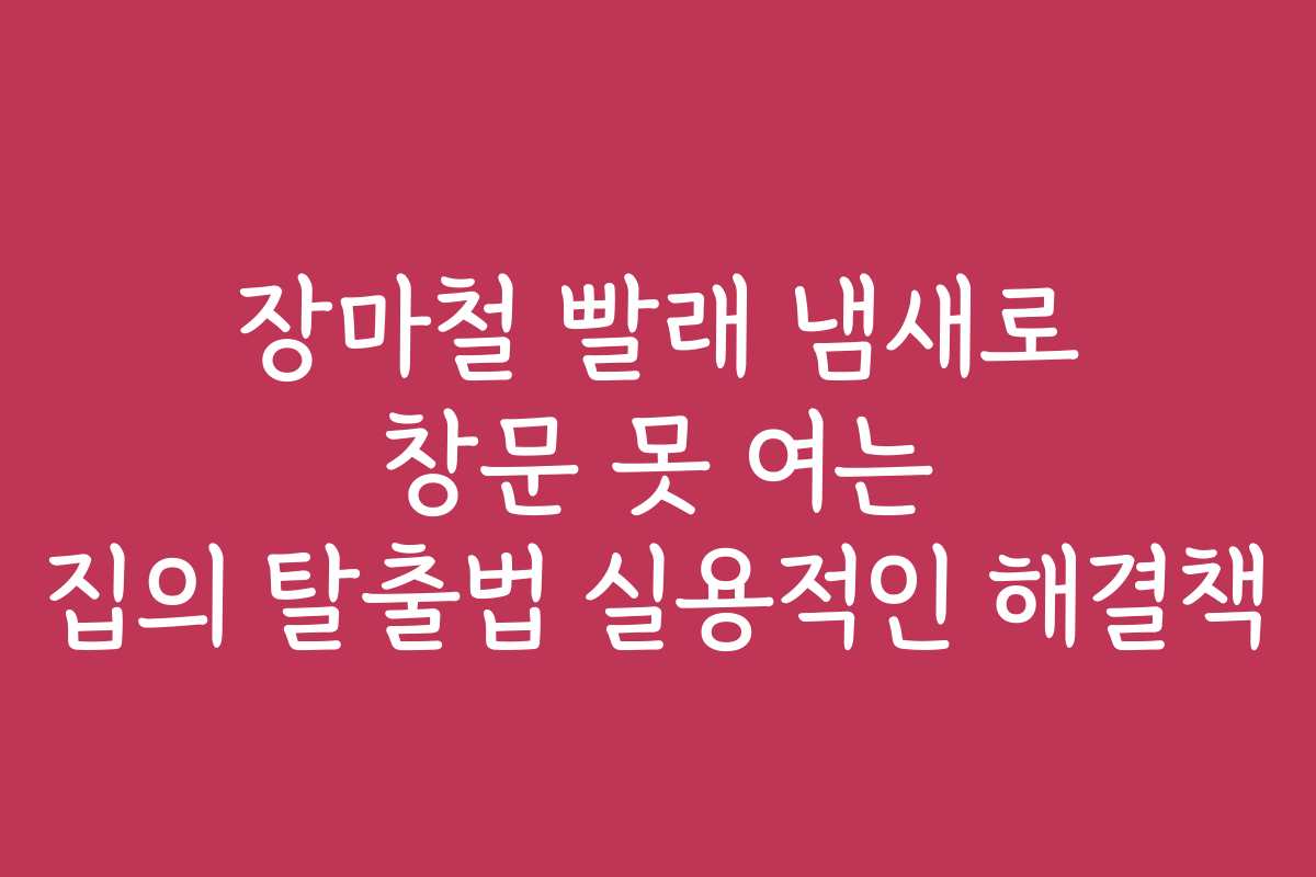 장마철 빨래 냄새로 창문 못 여는 집의 탈출법 실용적인 해결책