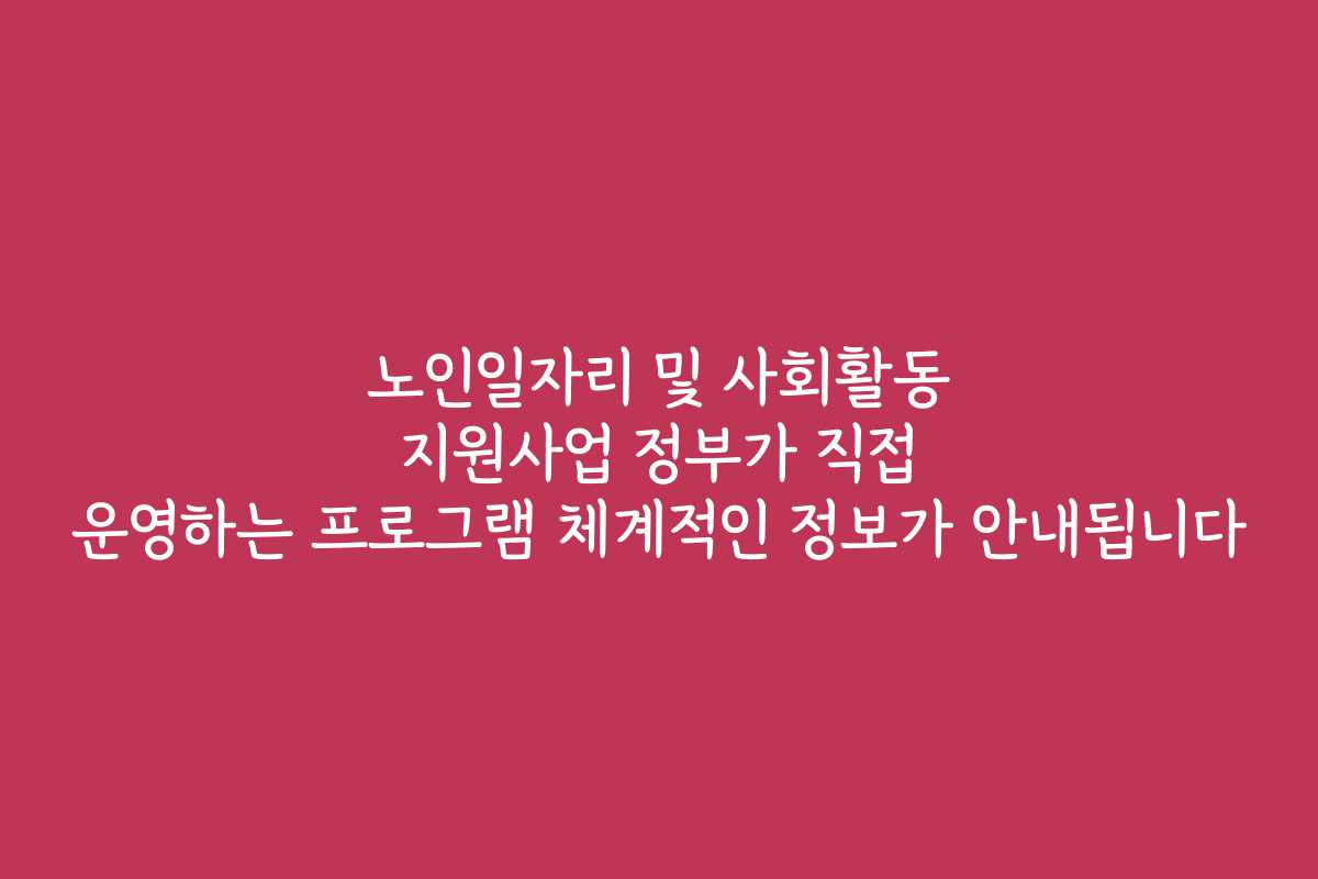노인일자리 및 사회활동 지원사업 정부가 직접 운영하는 프로그램 체계적인 정보가 안내됩니다