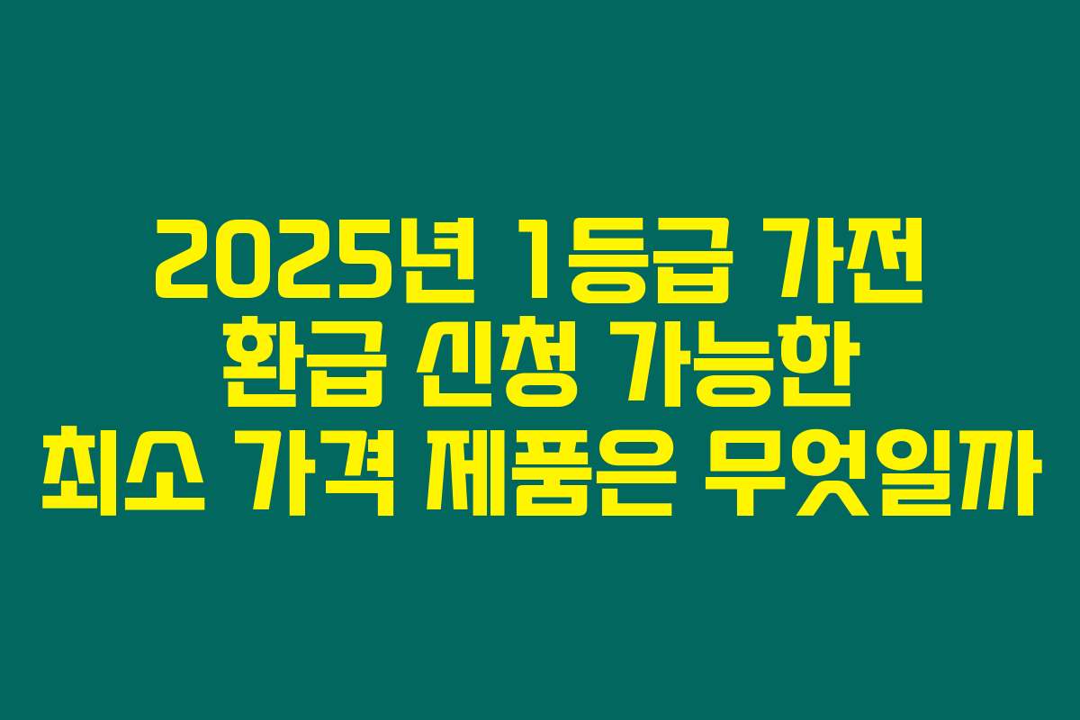 2025년 1등급 가전 환급 신청 가능한 최소 가격 제품은 무엇일까