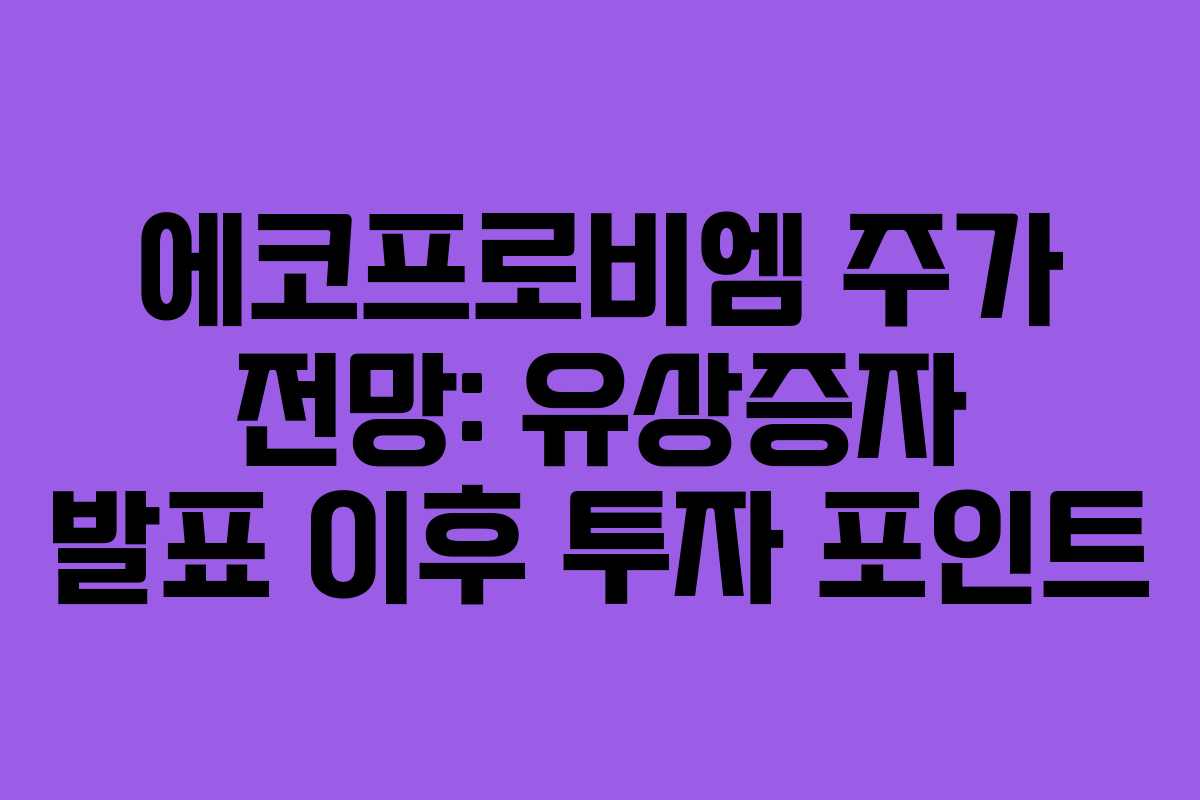 에코프로비엠 주가 전망: 유상증자 발표 이후 투자 포인트