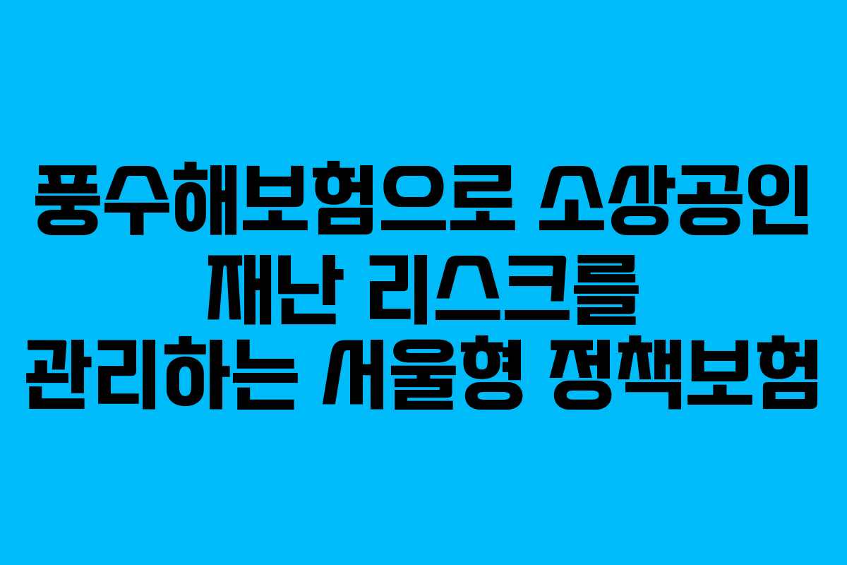풍수해보험으로 소상공인 재난 리스크를 관리하는 서울형 정책보험