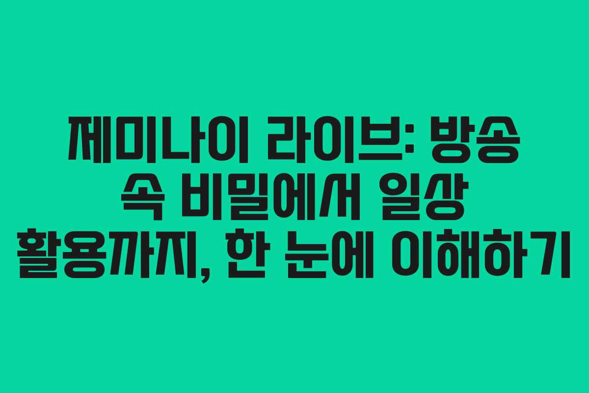 제미나이 라이브: 방송 속 비밀에서 일상 활용까지, 한 눈에 이해하기