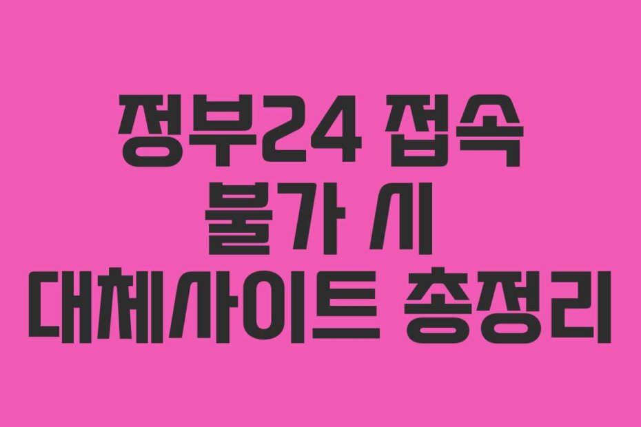 정부24 접속 불가 시 대체사이트 총정리