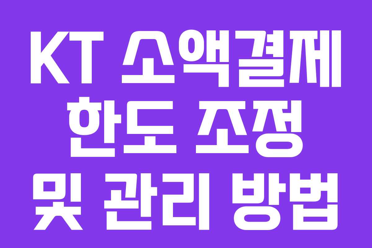 KT 소액결제 한도 조정 및 관리 방법