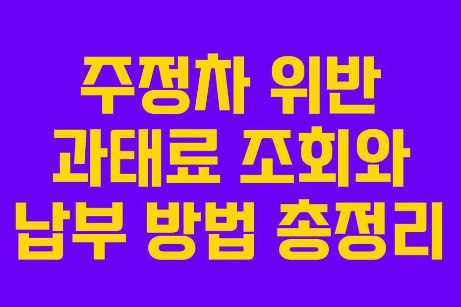 주정차 위반 과태료 조회와 납부 방법 총정리