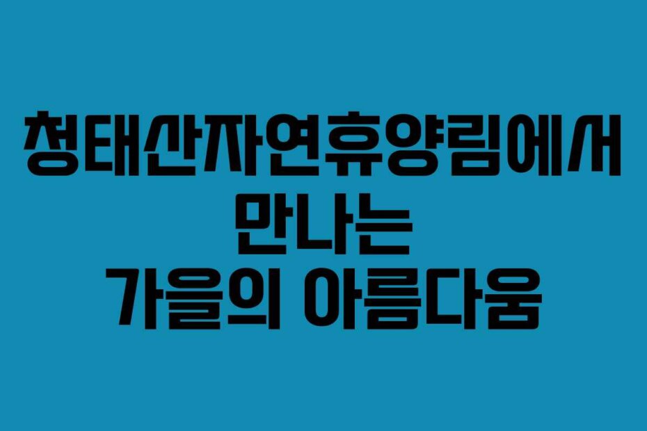 청태산자연휴양림에서 만나는 가을의 아름다움
