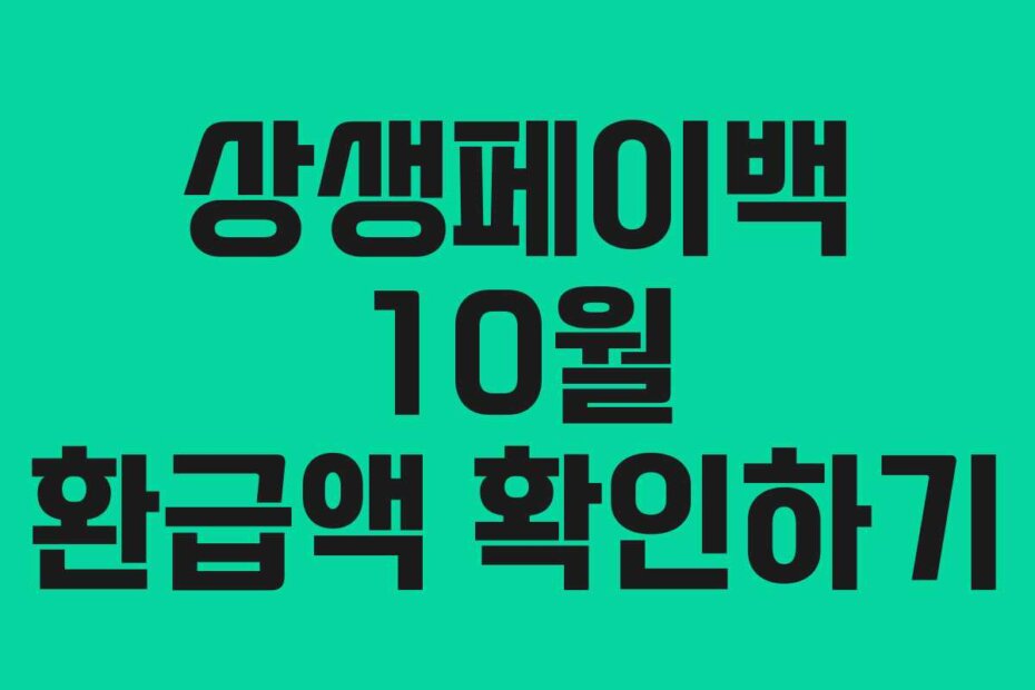 상생페이백 10월 환급액 확인하기