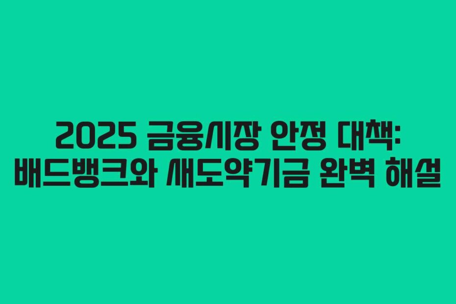 2025 금융시장 안정 대책: 배드뱅크와 새도약기금 완벽 해설