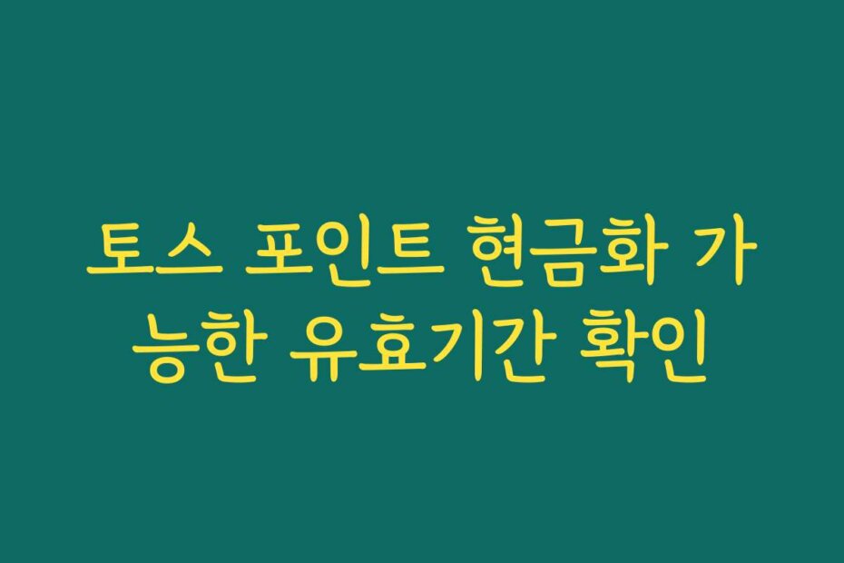 토스 포인트 현금화 가능한 유효기간 확인