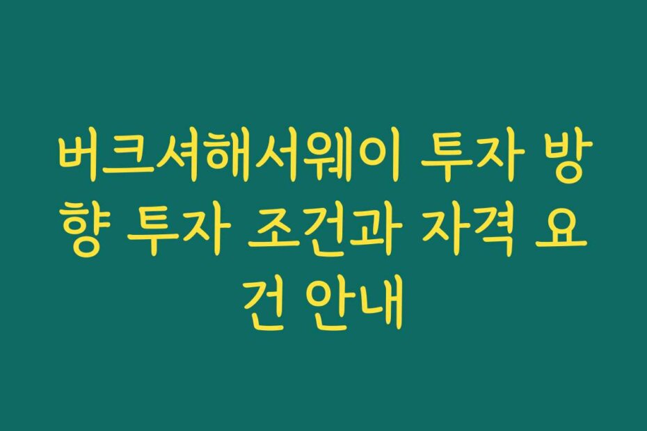 버크셔해서웨이 투자 방향 투자 조건과 자격 요건 안내