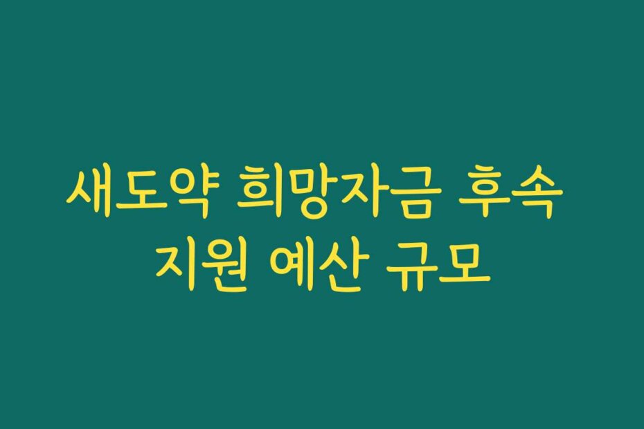 새도약 희망자금 후속 지원 예산 규모