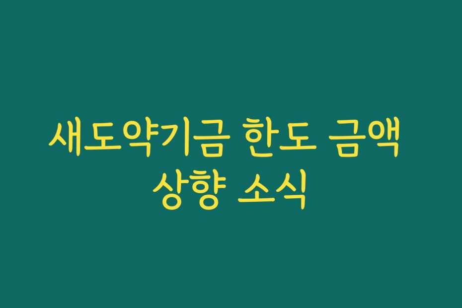 새도약기금 한도 금액 상향 소식