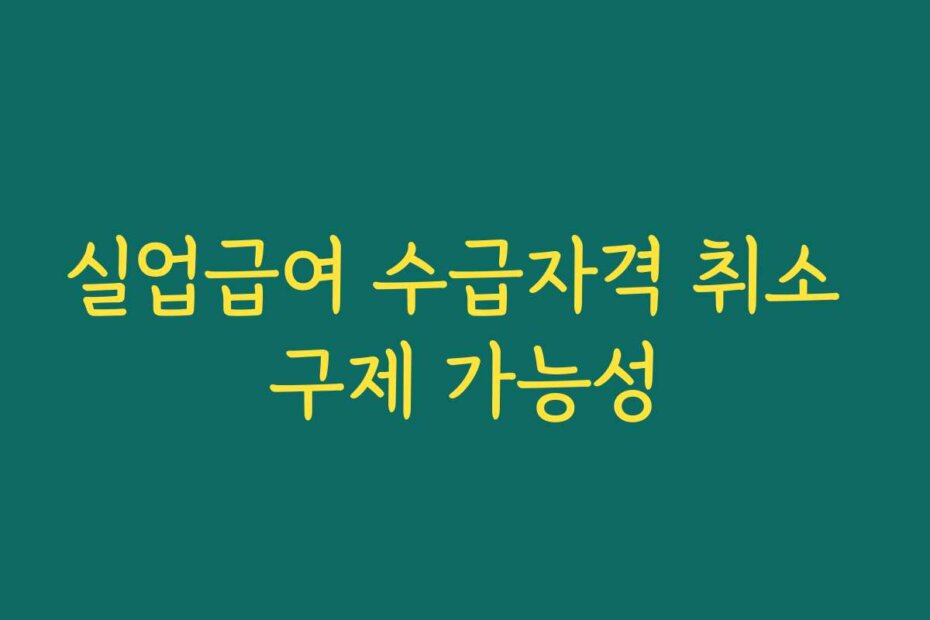 실업급여 수급자격 취소 구제 가능성