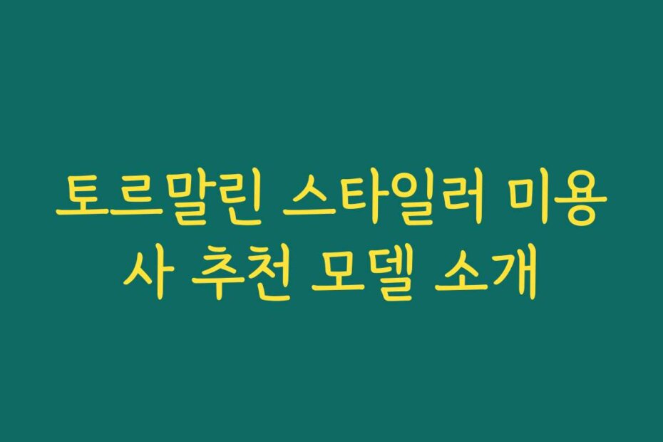 토르말린 스타일러 미용사 추천 모델 소개