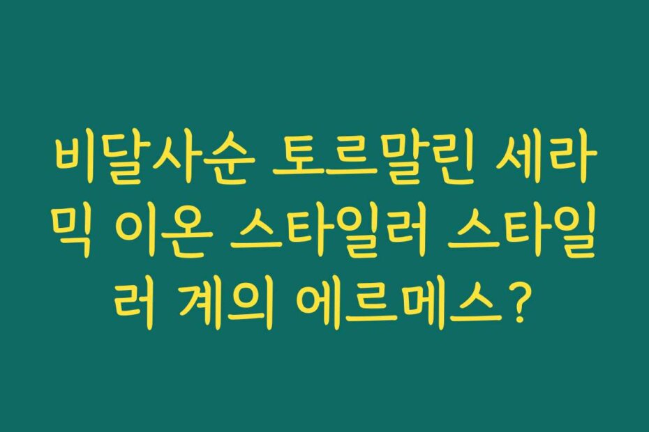 비달사순 토르말린 세라믹 이온 스타일러 스타일러 계의 에르메스?
