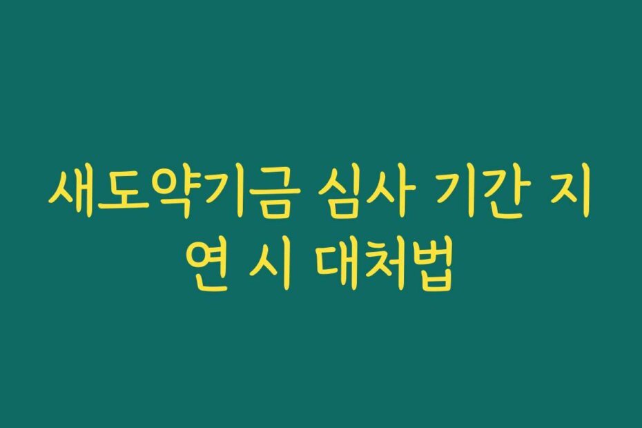 새도약기금 심사 기간 지연 시 대처법
